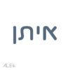 ⁦מדבקת קיר שם בשלל גוונים⁩ – תמונה ⁦2⁩